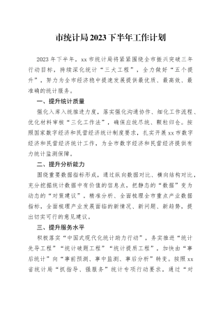 市统计局2023下半年工作计划