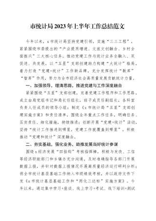 市统计局2023年上半年工作总结（汇报报告）