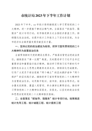 市统计局2023年下半年工作计划