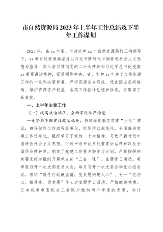 市自然资源局2023年上半年工作总结及下半年工作谋划