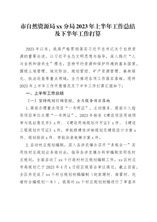 市自然资源局分局2023年上半年工作总结及下半年工作打算
