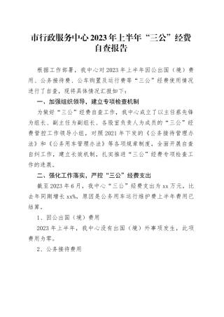 市行政服务中心2023年上半年“三公”经费自查报告（20230707）
