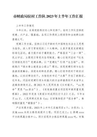 市财政局驻村工作队2023年上半年工作汇报