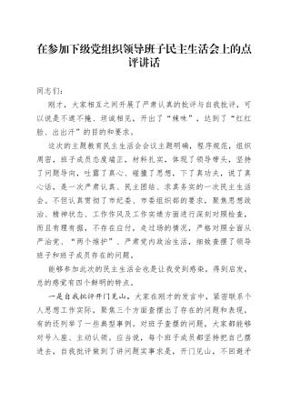 在参加下级党组织领导班子民主生活会上的点评讲话