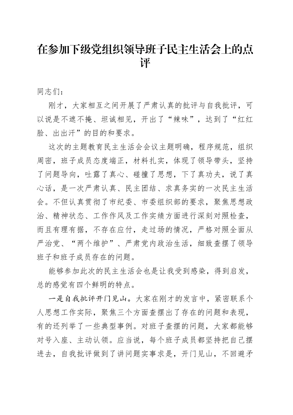 在参加下级党组织领导班子民主生活会上的点评（2230823）_第1页