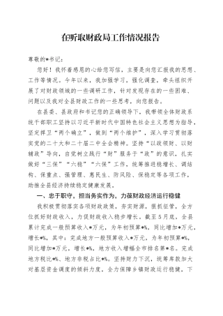 在听取财政局工作情况报告