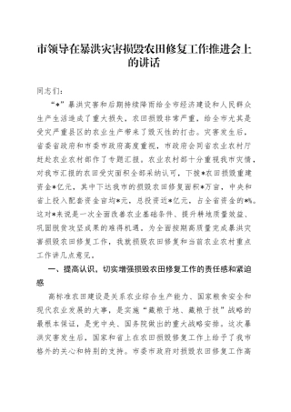 市领导在暴洪灾害损毁农田修复工作推进会上的讲话
