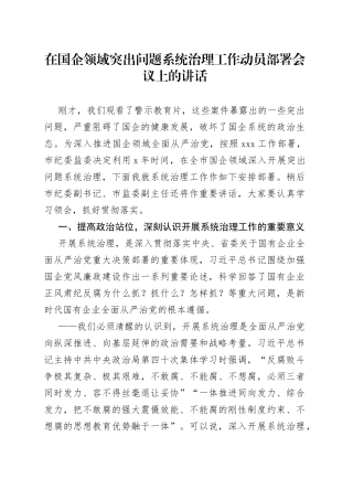 在国企领域突出问题系统治理工作动员部署会议上的讲话