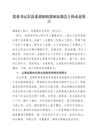 党委书记在县委巡察组巡察反馈会上的表态发言