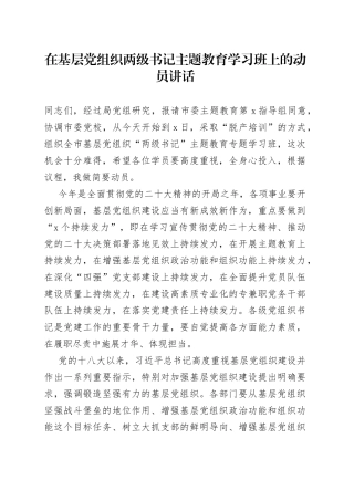 在基层党组织两级书记主题教育学习班上的动员讲话