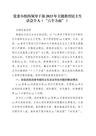 党委小组的领导干部2023年主题教育民主生活会个人（“六个方面”） 对照检查材料