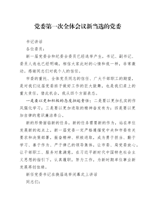 党委第一次全体会议新当选的党委书记讲话