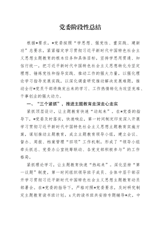 党委阶段性总结