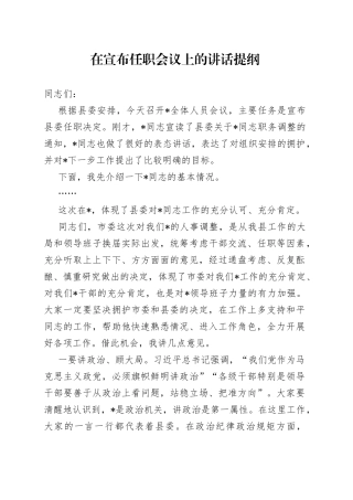 在宣布任职会议上的讲话