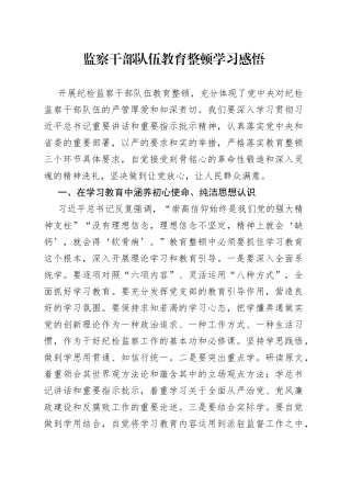 监察干部队伍教育整顿学习感悟