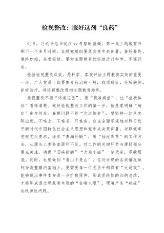 检视整改：服好这剂“良药”