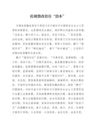 检视整改贵在“治本”