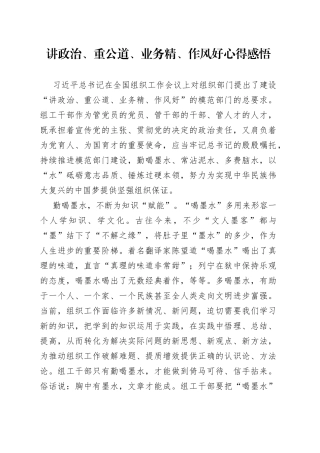 讲政治、重公道、业务精、作风好心得感悟