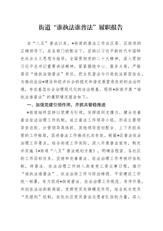 街道“谁执法谁普法”履职报告