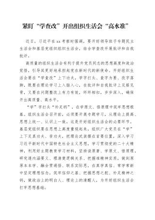 紧盯“学查改”开出组织生活会“高水准”