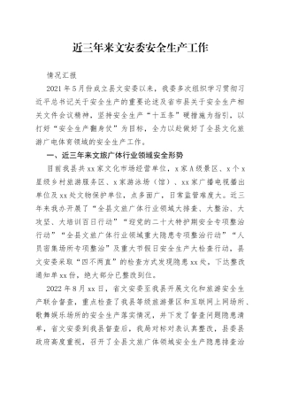 近三年来文安委安全生产工作情况汇报