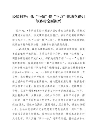 经验材料：抓“三强”提“三力”推动党建引领乡村全面振兴