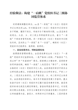 经验做法：构建“一肩挑”党组织书记三级协同监管体系