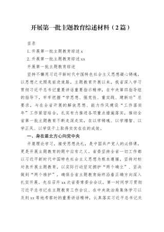 开展第一批主题教育综述材料（2篇）