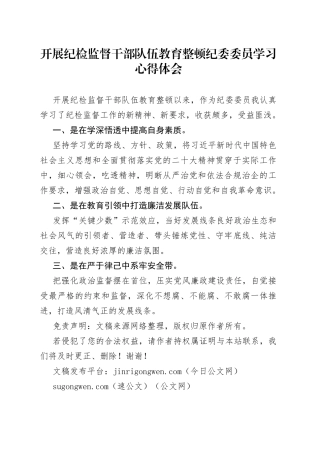 开展纪检监督干部队伍教育整顿纪委委员学习心得体会
