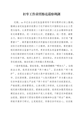 扛牢工作责任擦亮巡察利剑