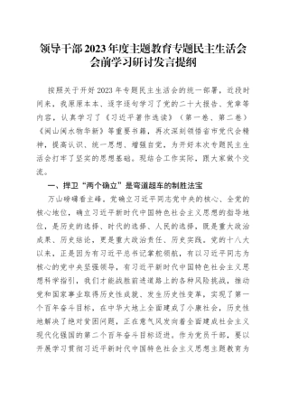 领导干部2023年度主题教育专题民主生活会会前学习研讨发言提纲