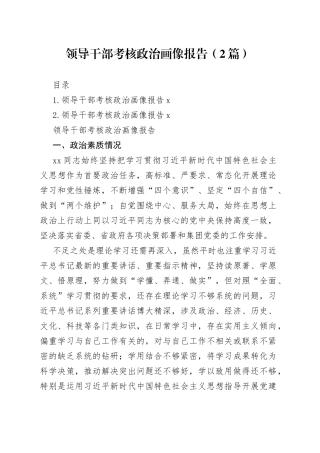 领导干部考核政治画像报告（2篇）