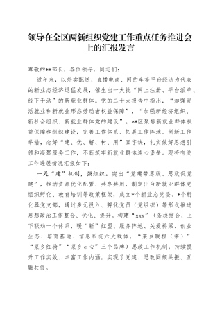 领导在全区两新组织党建工作重点任务推进会上的汇报发言