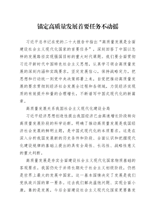 锚定高质量发展首要任务不动摇