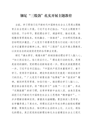 铆足“三股劲”扎实开展主题教育