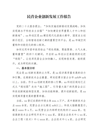民营企业创新发展工作报告