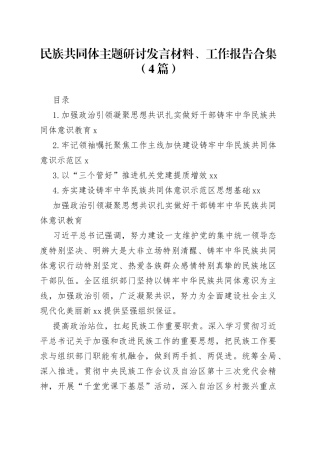 民族共同体主题研讨发言材料、工作报告合集（4篇）
