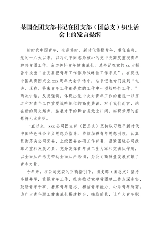 某国企团支部书记在团支部（团总支）织生活会上的发言提纲