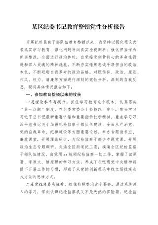 某区纪委书记教育整顿党性分析报告
