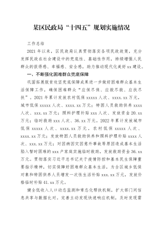 某区民政局“十四五”规划实施情况工作总结