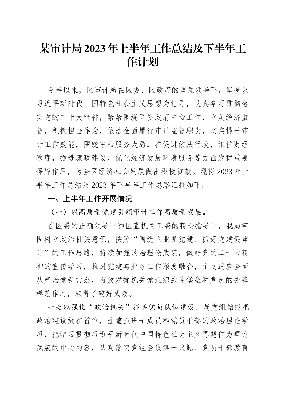 某审计局2023年上半年工作总结及下半年工作计划_第1页