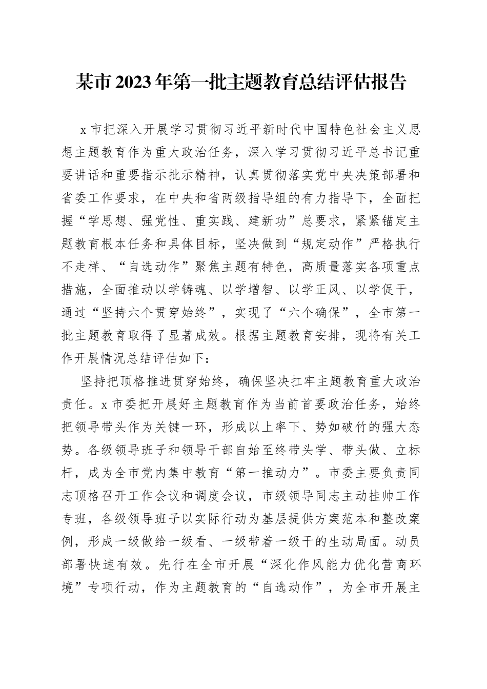 某市2023年第一批主题教育总结评估报告_第1页