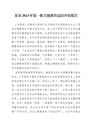 某市2023年第一批主题教育总结评估报告