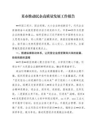 某市推动民企高质量发展工作报告