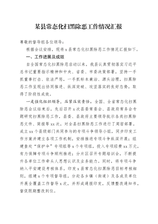 某县常态化扫黑除恶工作情况汇报