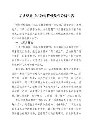 某县纪委书记教育整顿党性分析报告