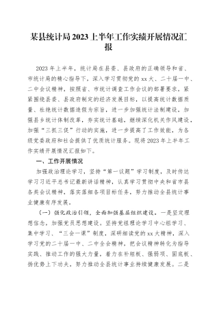 某县统计局2023上半年工作实绩开展情况汇报