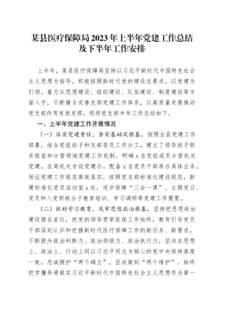 某县医疗保障局2023年上半年党建工作总结及下半年工作安排