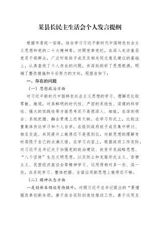 某县长民主生活会个人发言提纲