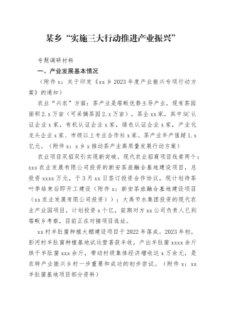 某乡“实施三大行动推进产业振兴”专题调研材料